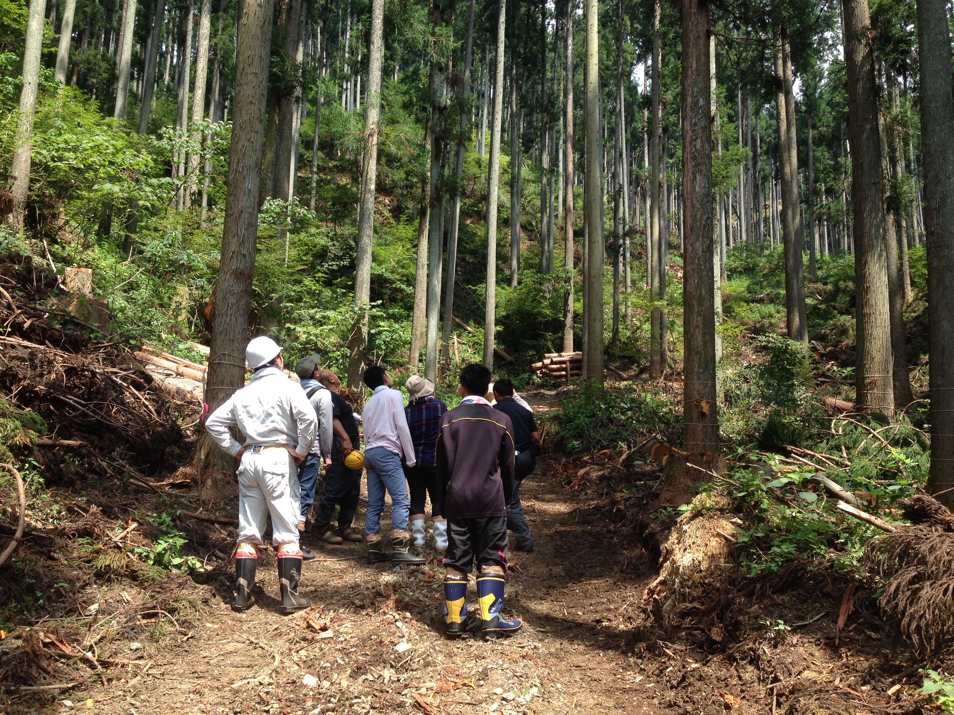 栃木県産材　佐々木設計企画