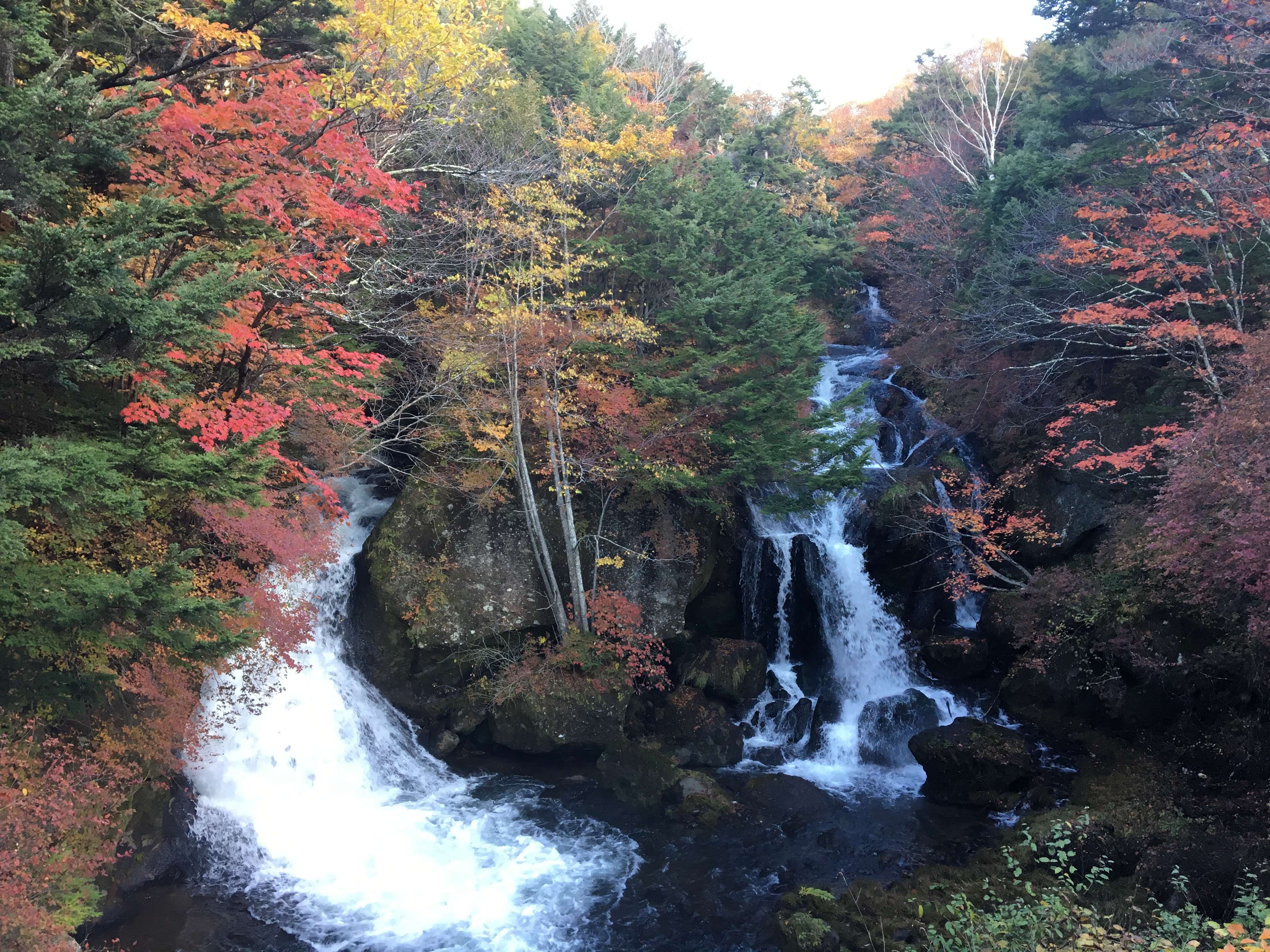 竜頭の滝　佐々木設計企画