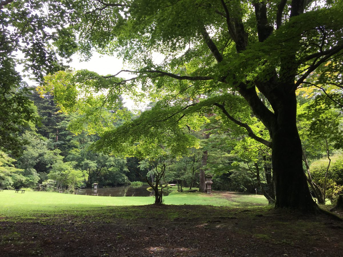 栃木県日光市の松屋敷さまの、令和元年の庭園公開が始まります