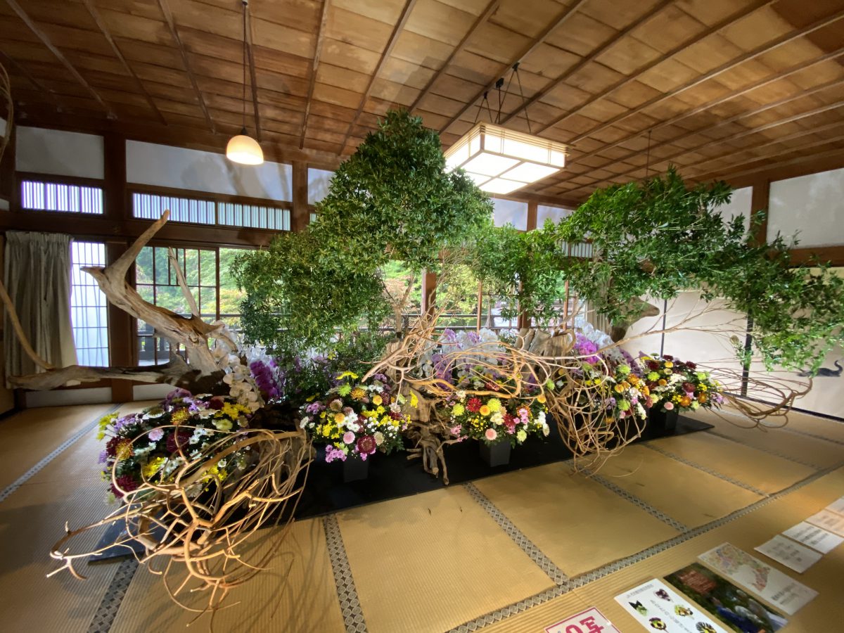 假屋崎省吾の花展行ってきました