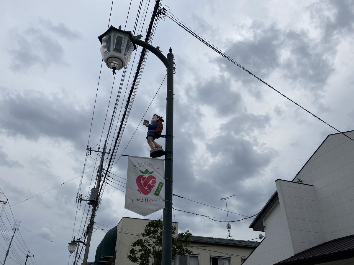 街灯で発見！！