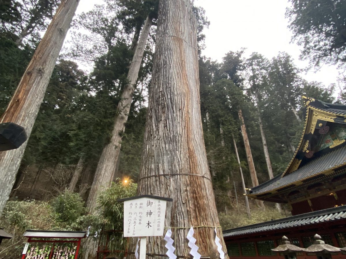 新年あけましておめでとうございます。