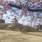 木の家　日光
